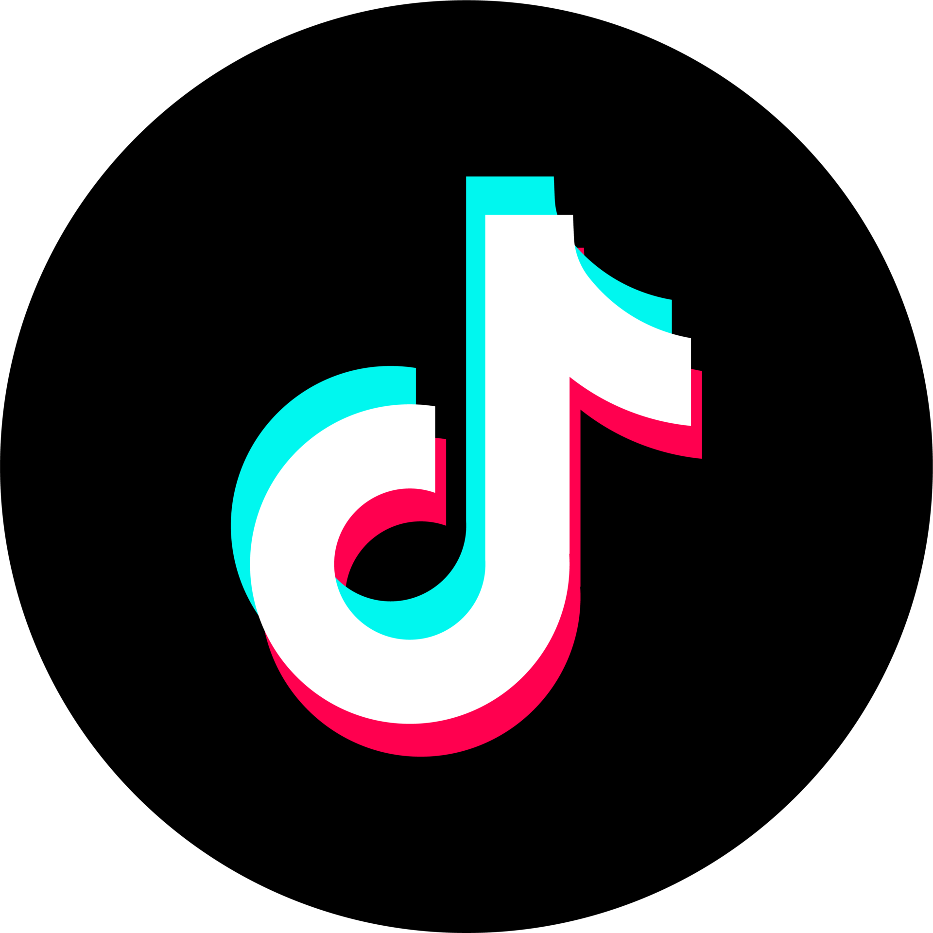 TikTok Video Views